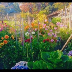 Meet your Posher, Kaitlyn